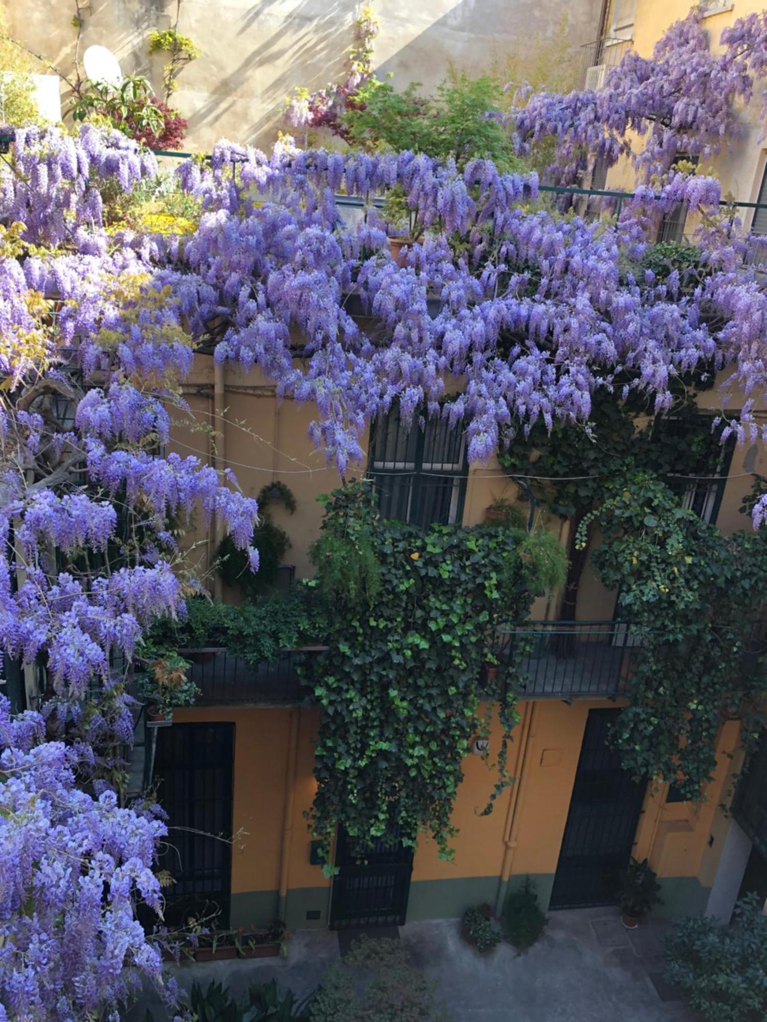 La Casa Degli Angeli Apartment Torino Exterior foto