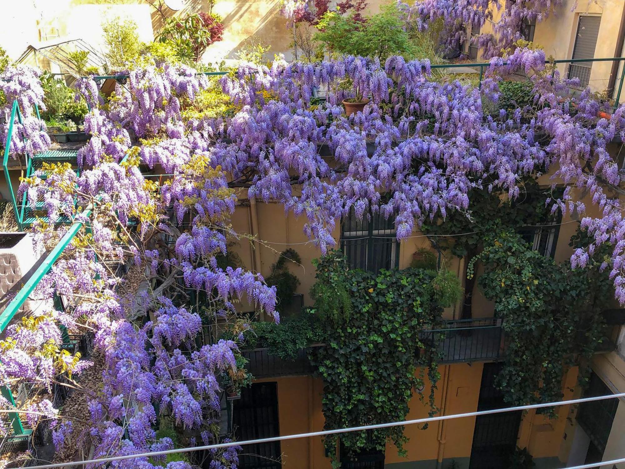 La Casa Degli Angeli Apartment Torino Exterior foto